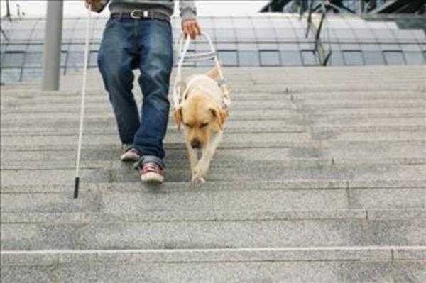 Yan sra dzenli olarak gece alan hemirelerde meme kanserinin artt tespit ediliyor. Melatonin meme tmrlerinin bymesini de azaltyor, kalp ve damar hastalklarn yavalatyor, reme fonksiyonunu artryor. Depresyonlu kiilerde bu hormon dk