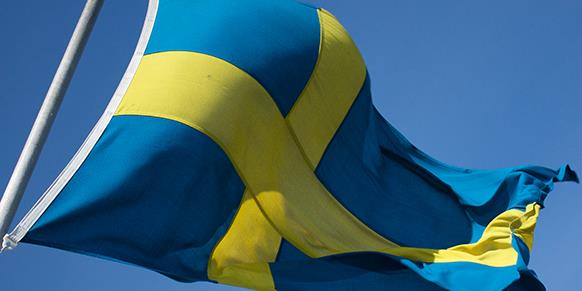 <p>sve</p>  Baarl ve pahal