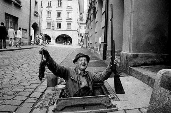 Bir zamanlar Avrupa'nn en byk kabuslarndan biri olan ve pek ok hastala davetiye karan farelere kar fare avclar grev yapard.