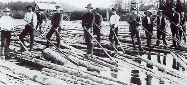 Tomruk srcleri tomruklar o gnn artlar gerei nehri kullanarak tamak durumundayd ve istenen noktaya bu ekilde tomruklar tanabiliyordu.