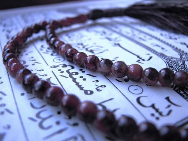 Hz. Peygamber'in kendi zamannn tp bilgisine dayanarak bir ok hastalk iin deiik ilalar ve tedavi yntemleri tavsiye ettii yukarda bir nebze bahsedildii gibi, hadis kaynaklarmzda yer almaktadr. Bu uygulama ve tavsiyelerin kaynann ne olduu ve bunlarn nasl deerlendirilmesi gerektii konusunda, gemite ve gnmzde farkl yorumlar yaplmtr.