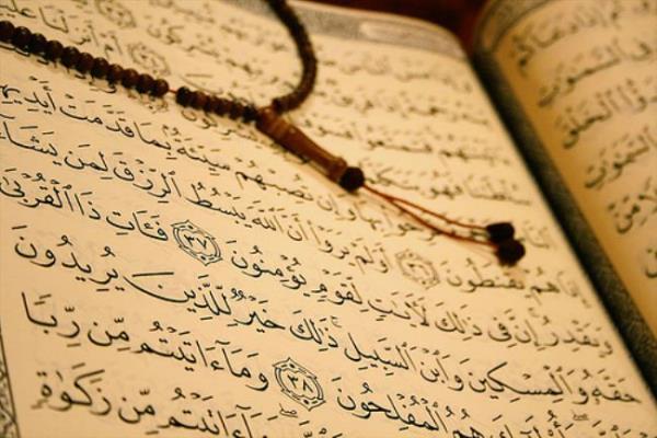 Baka bir hadis-i erifte ise; tedavi olmay ilahi takdire aykr sayarak, 'Ey Allah'n Rasl tedavi olalm m? Allah'n takdirine kar bunun yarar olur mu?' diye soranlara: 'Tedavi olmak da Allah'n takdiridir. Tedavi olunuz, zira Cenab- Hak hibir hastalk yaratmamtr ki, devas ile yaratm olmasn. Sadece biri, yani yallk mstesna.' buyurmutur.