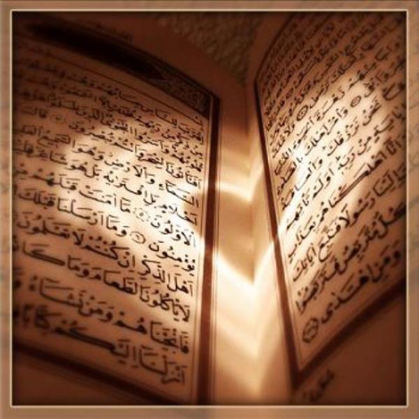 Baz sofularn: 'Allah'n mptela kld her bela ve musibete raz olmadka velayet mertebesi tamam olmaz, binaenaleyh veli iin tedavi caiz olmaz' sz doru deildir.