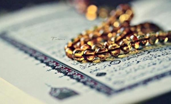 Sonu olarak; slam'da insann deeri ok byktr.