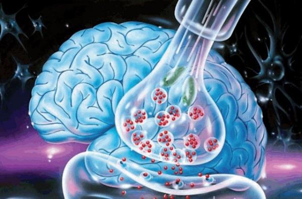 Biraz reticiliinizi kullann ve daha neleri tersten yapabileceinizi bulun. Tabii bulduklarnz da hemen deneyin. Sonu olarak, rutin alkanlklarnz krar ve beyninizin kullanmadnz dier yarsn da harekete geirmi olursunuz.