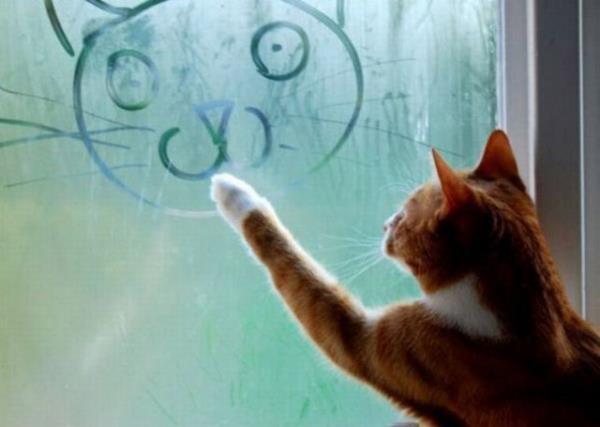 <b>Ressam altrmas:</b> Burnunuzun ucunda bir fra olduunu hayal edin. Bununla havaya en sevdiiniz renkte yatay bir sekiz izin. Bu hareketi gevek ve dengeli yapn.