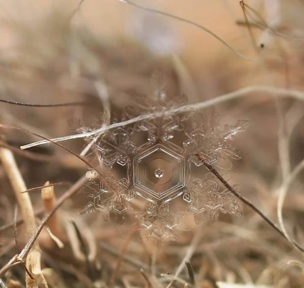 Kar tanesi Yakn ekim fotoraflarn en baarl rnekleri.