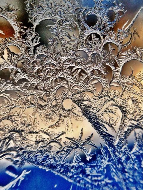 Buz tutmu cam Yakn ekim fotoraflarn en baarl rnekleri.