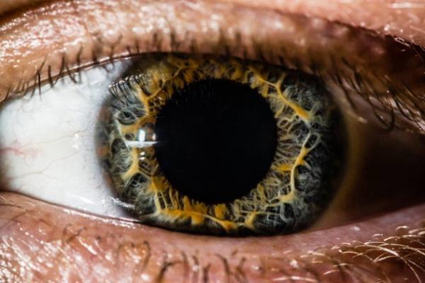 nsan gz Yakn ekim fotoraflarn en baarl rnekleri.