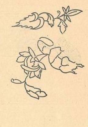 Ksa bir sre sonra Fatih olacak ehzadenin ocuk dima, eitimi, hocalar, rendii diller ve zevkleri hakknda ilk iaretleri iermektedir.