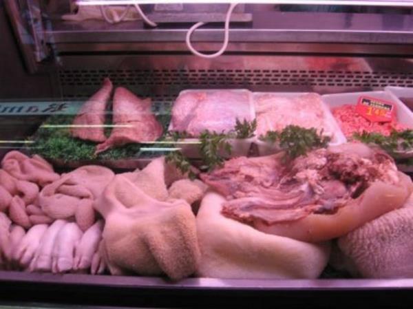 Sakatatlar (karacier, beyin,bbrek,ikembe)