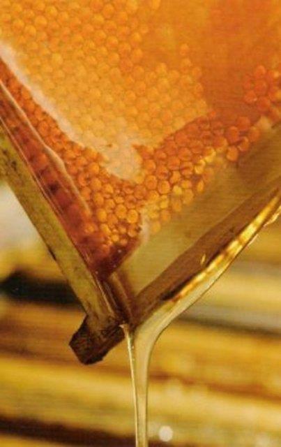 <b>Bal alrken nelere dikkat etmeli?</b>