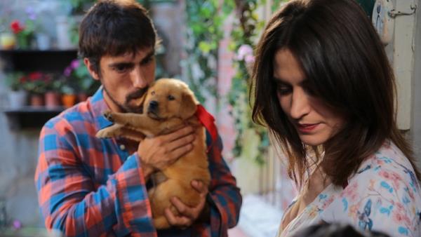 <p><b>Sadece Sen</b></p>  Film, grme engelli Hazal ile eski bir boksr olan Ali'nin yollar srpriz bir ekilde kesimesiyle balyor. Ali'nin gsterdii sevgi, karanla mahkum olmasna ramen hayat dolu olan gen kz Hazal iin bir umut olur.