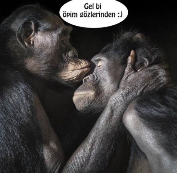 8- Neden gzlerinden perim denir? nsan vcudunda plecek daha uygunsuz bir yer var mdr? Kimse kimseyi gznden pm mdr?