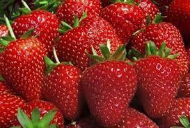 <b>LEK:</b> ilek, yaban mersini, brtlen, frambuaz gibi meyveler karacieri ok abuk temizliyor.