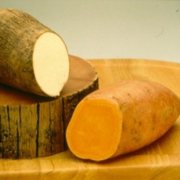 <p><b>Tatl patates:</b></p>  mkemmel bir A ve C vitamini, potasyum, riboflavin, bakr, pantothetic asit ve folik asit kaynadr.