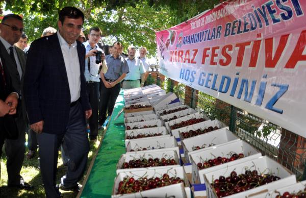 Kalknma Bakan Cevdet Ylmaz, Manisa'nn Mahmutlar Beldesinde dzenlenen 4. Kiraz Festivali'ne katlarak standlar gezdi.