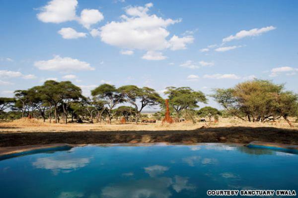 Tarangire Doa Park - Tanzanya