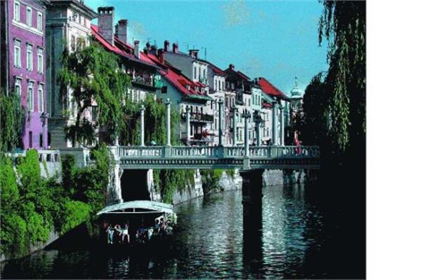 31. Slovenya Toplam puan: 67,29