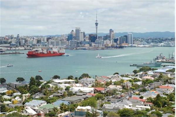 20. Yeni Zelanda Toplam puan: 75,09