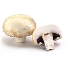 Satn aldnz kltr mantarlarn kese kdnda az kapal olarak buzdolabnn sebze blmnde saklayabilirsiniz. En az 2-3 gn tazeliklerini kaybetmezler. Mantarlar hi bir zaman plastik torbada muhafaza etmeyin nk yap yap olurlar.