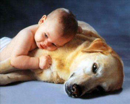 Evinizde hayvan besliyorsanz ve bunlarn tyleri koltuklarnza, kanepelerinize bulayorsa elinize yapkan bir bant sarn ve tyl olan yerlerde gezdirin.