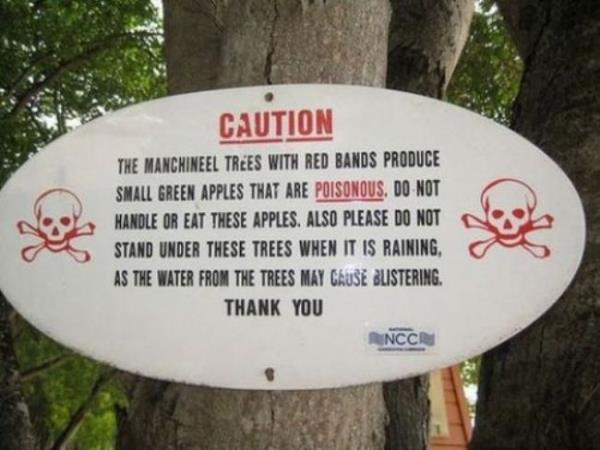 Meyvenin yanllkla srlmas ise, lmle sonulanan komplikasyonlar yaratmaktadr...