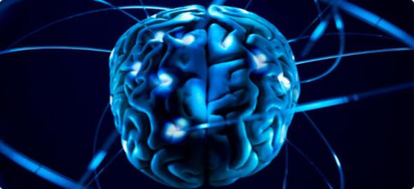 29. - Beyniniz kendisini ar yklenmeden ve duygusal kntlerden korumak iin bildiklerini unutur, bu yeni bilgileri daha kolay ve hzl renmenizde size yardmc olur.