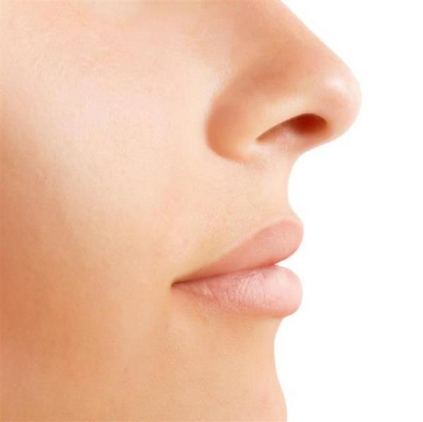 3. nsan burnu 50.000 kokuyu tanr ve hatrlar, neredeyse kpek burnu kadar gldr