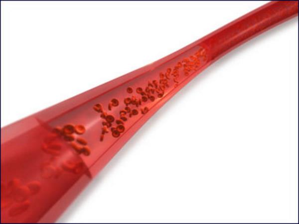 4. Vcudunuzda 96.000 km uzunluunda kan damar vardr. Bu uzunluk Ekvator'un evresinde 2.5 tur atabilir