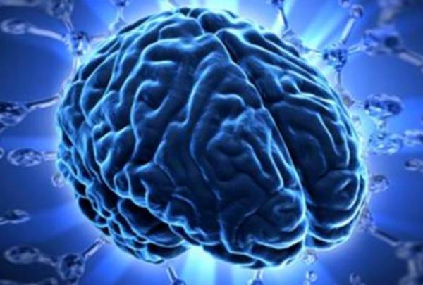 24. Beyninizin %60' yadan oluur.