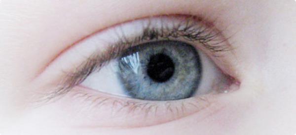 12. nsan gz dijital bir kamera olsayd, 576 megapiksel olurdu. Piyasada bulabileceiniz en gelimi 80 megapiksel DSLR'nin fiyat 34.000 dolardr. Ayrca uzmanlar insan gznn 10 milyon farkl rengi ayrt edebildiini tahmin etmektedir.