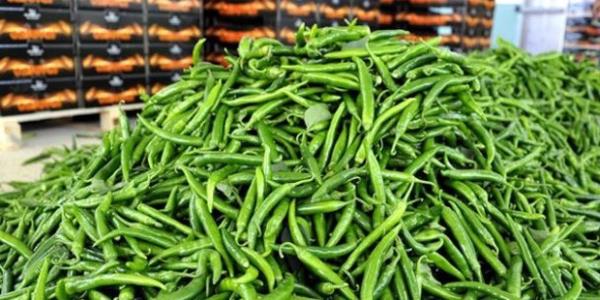 <b>Gz sal iin faydaldr katarak tehlikesini azaltr.</b>