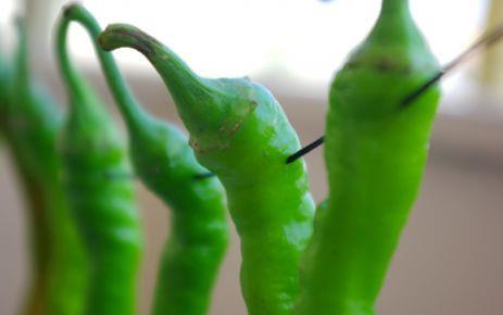 <b>Yalanmay geciktirir.</b>