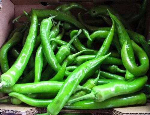 <b>Kronik bronit tedavisine yardmc olur.</b>