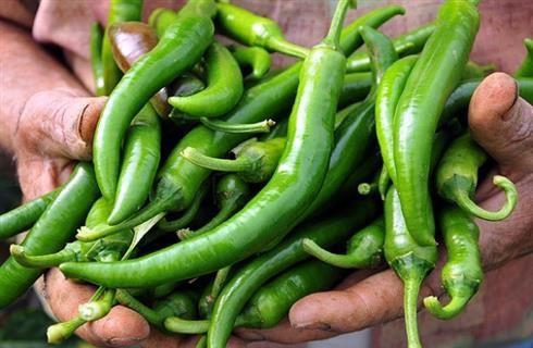 <b> Birok kanser trne yakalanma riskini azaltr.</b>