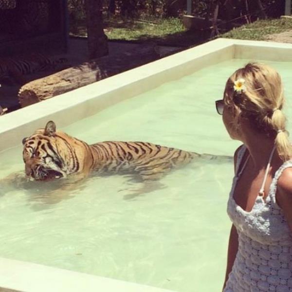 ECE ERKEN Hayatmda grdm en gzel hayvan. Muhteem bir heyecand