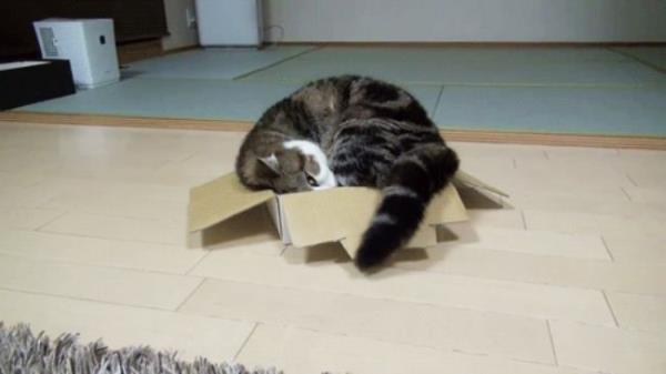 Yatarken duvara yapmaya baladysan