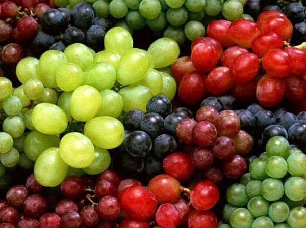 zm gl bir antioksidandr ve iki sersemliine sebep olabilir.