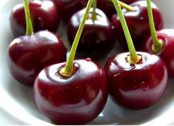 Kiraz beyin nronlar ve sinir sistemi zerinde sakinletirici bir etki meydana getirir .