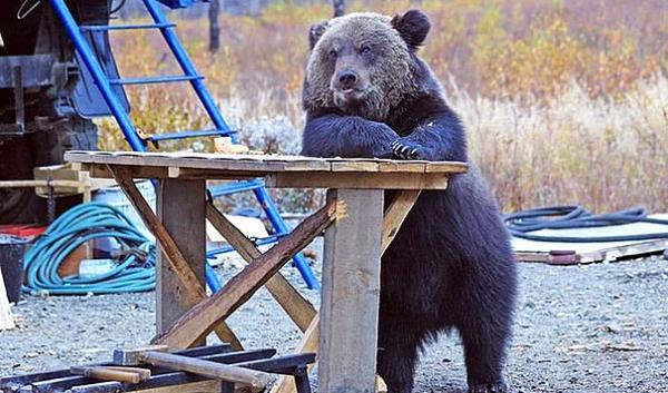 23. Hanc bana arap ve bal getir...