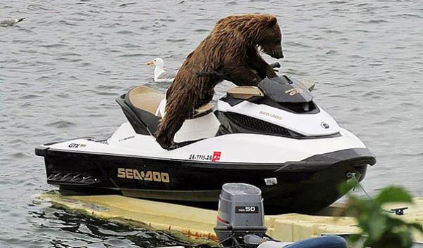 7. Evet ya alaym bi tane bundan.