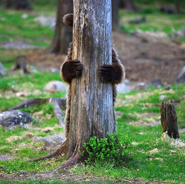 9. Beni burada gremezler