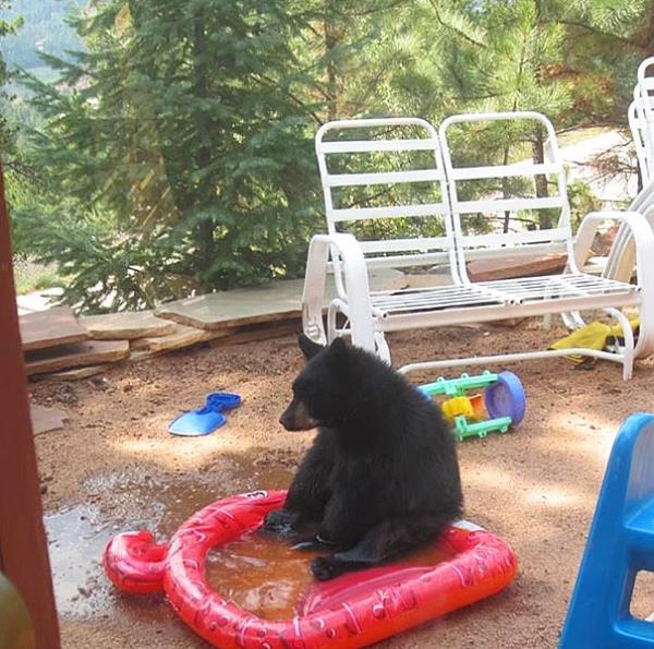 26. Ben daha byk havuz istiyordum