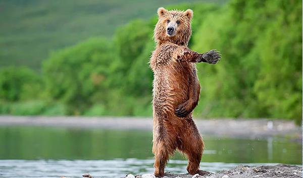 27. Abe kaynana naaptn bize