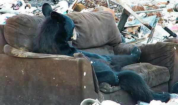 10. Ulan ok skldm yaa... Buzdolabna m baksam?