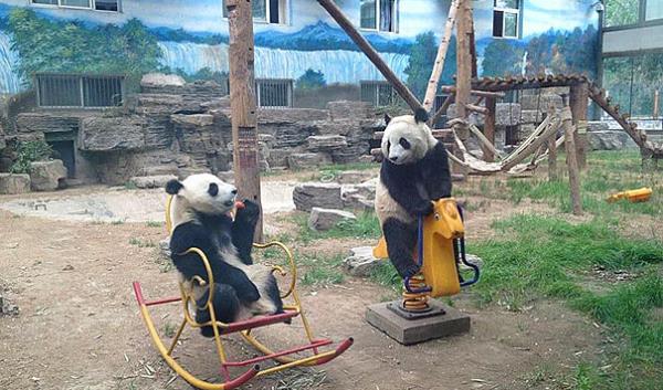 22. Sen de mi okulu astn?