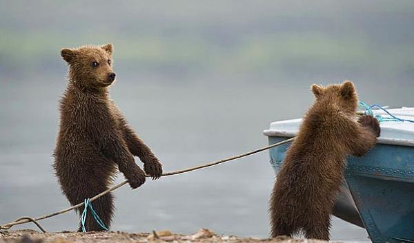 2. Olm abuk z, izleniyoruz.