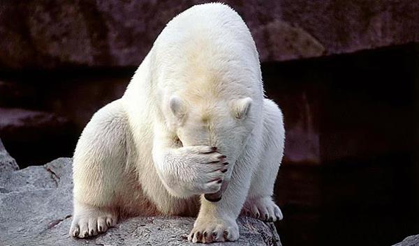 31. Allahm bam atlyor sabahtan beri