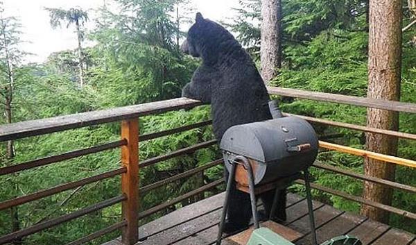 32. Bazen diyorum alp bam gideyim buralardan...